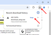 If you cannot download the installation file (depending on the version of the Internet browser it may be blocked), click the Downloaded icon (top right) and click Keep.